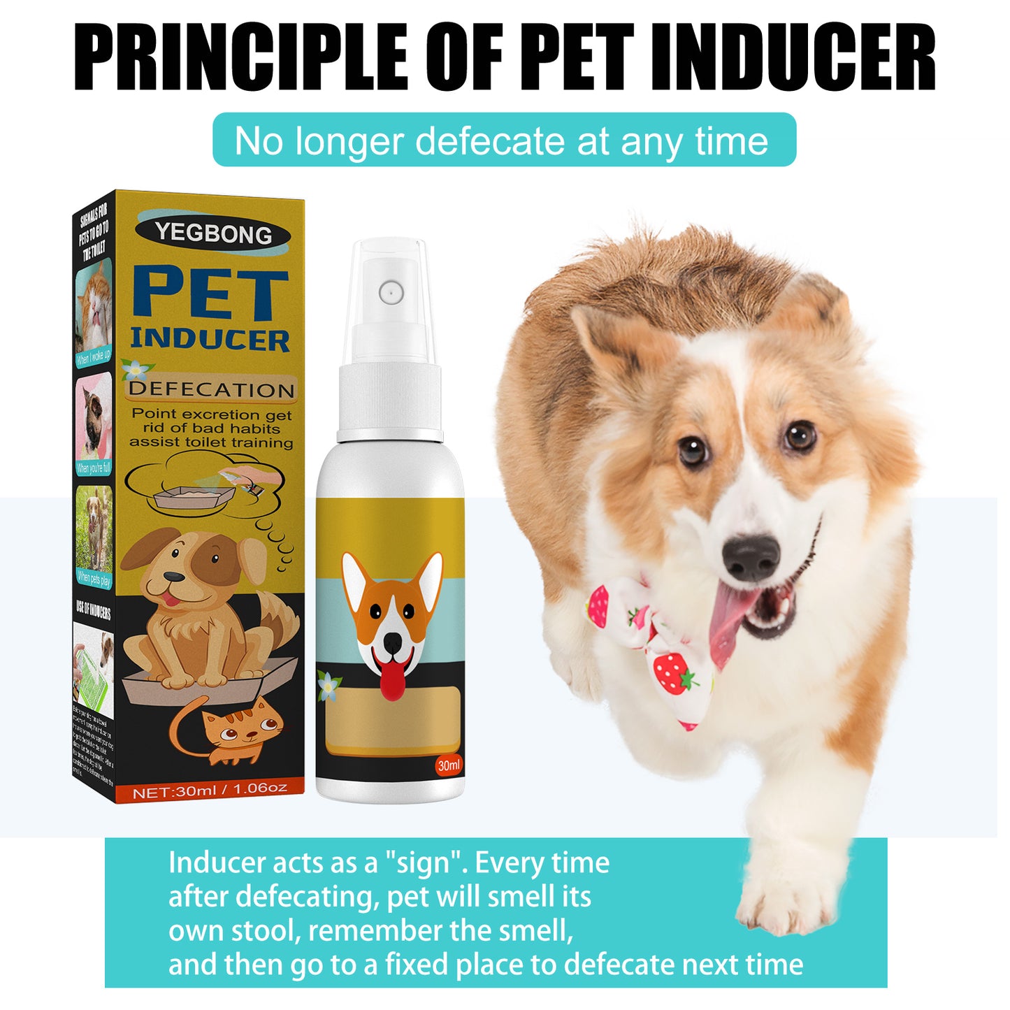 Pet Feces Positioning Pet Cat Dog Positioning Defecation Inducer