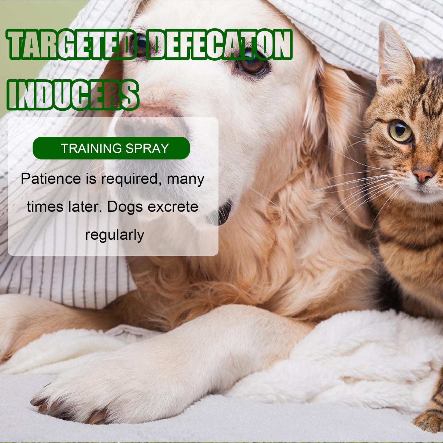 Yegbong Pet Positioning Toilet Inducer Pet Toilet Positioning Toilet Trainer