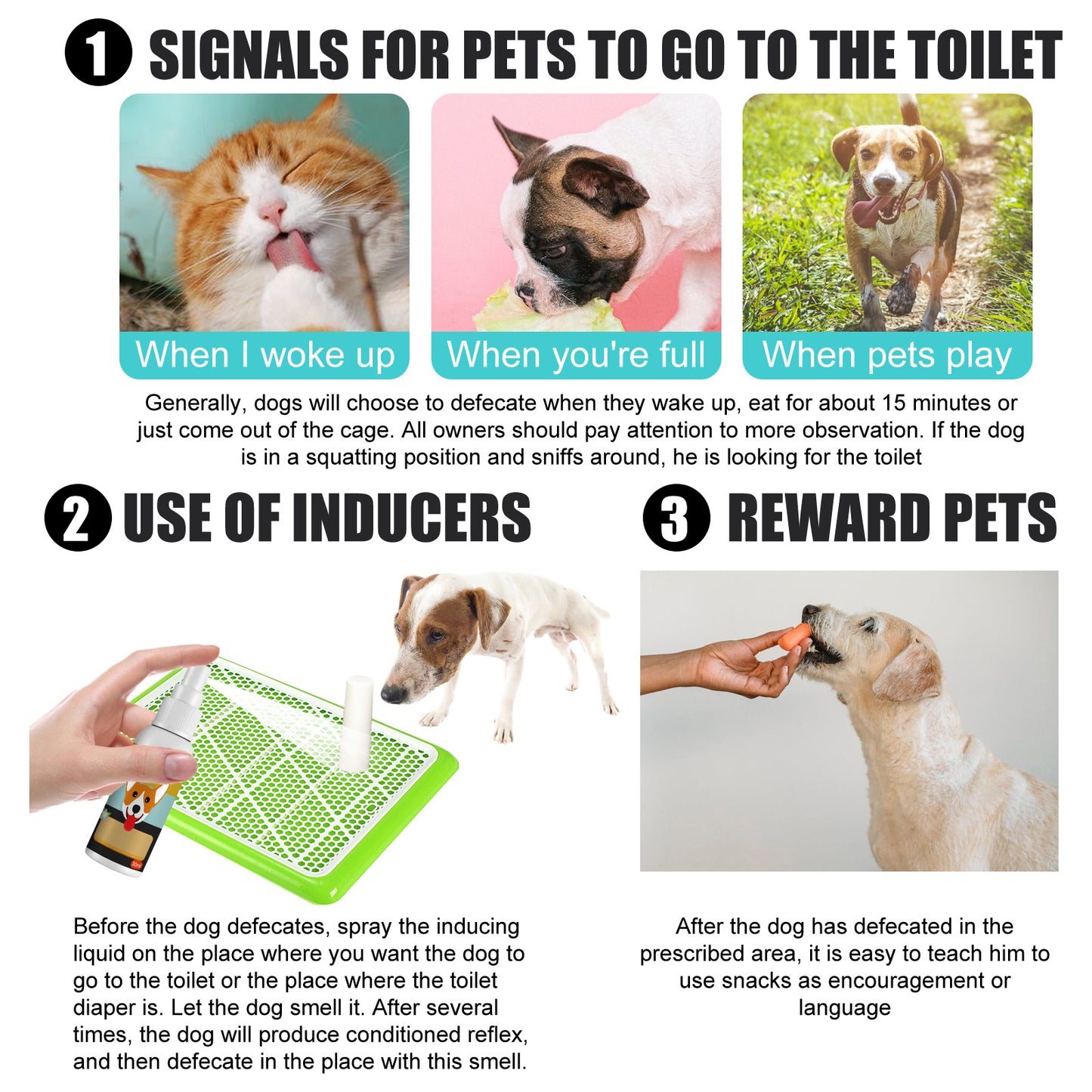 Pet Feces Positioning Pet Cat Dog Positioning Defecation Inducer