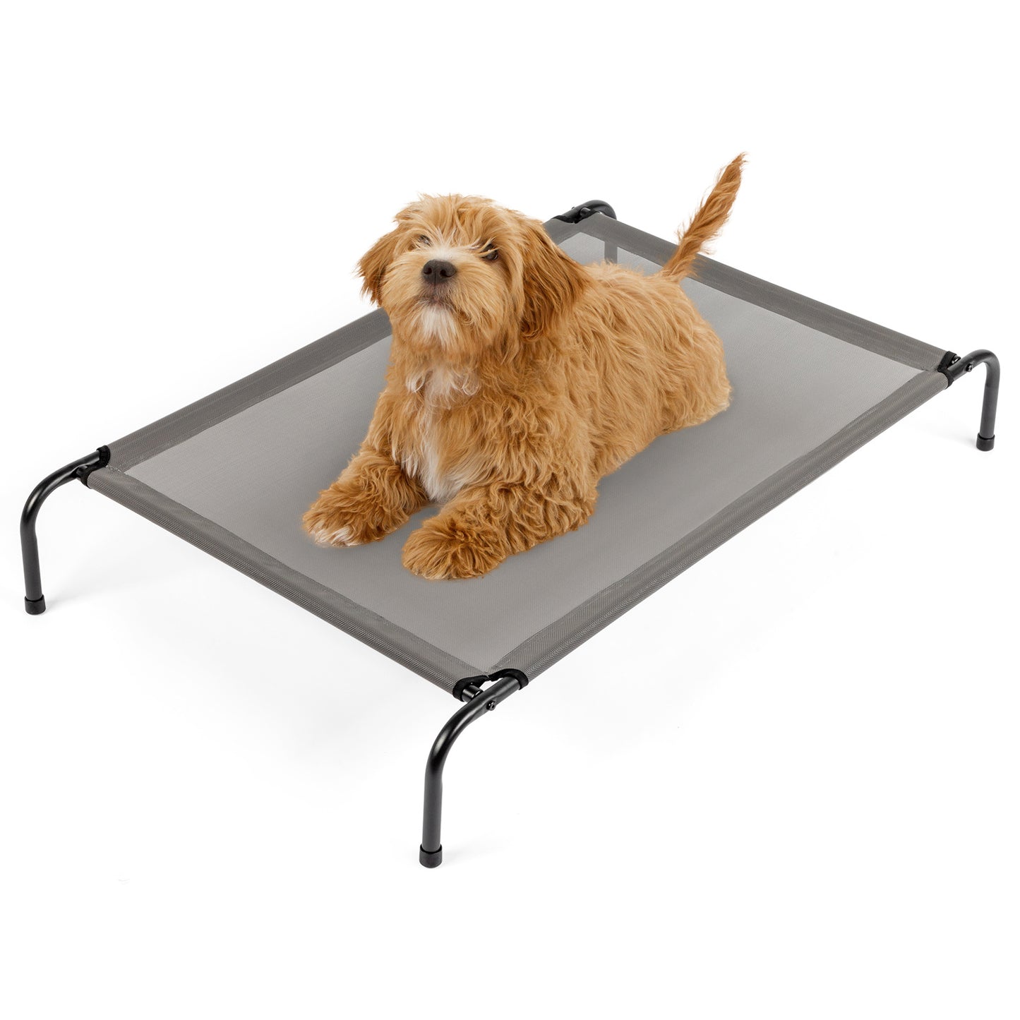 Pet Beds 43"Dx26"Wx8"H  SMALL