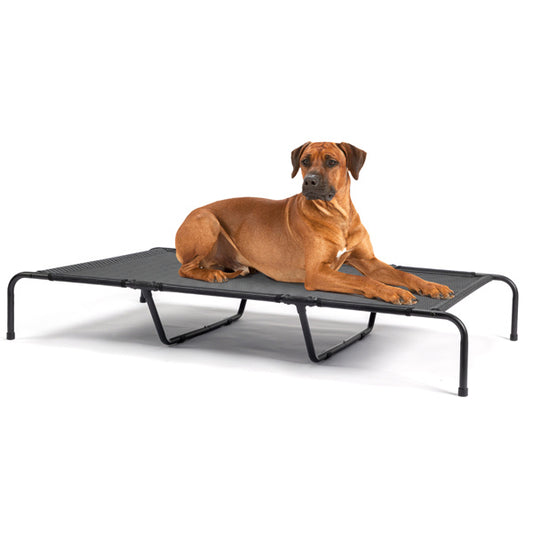 Pet Beds 60"D x 37"W x 9"H Large