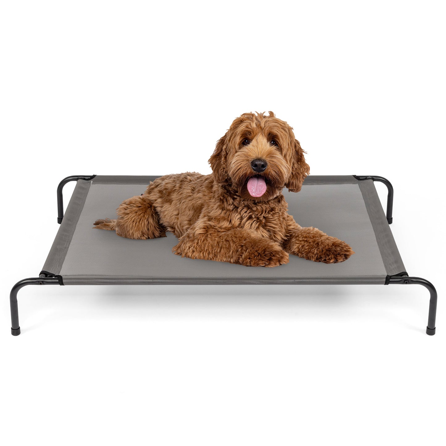 Pet Beds 43"Dx26"Wx8"H  SMALL