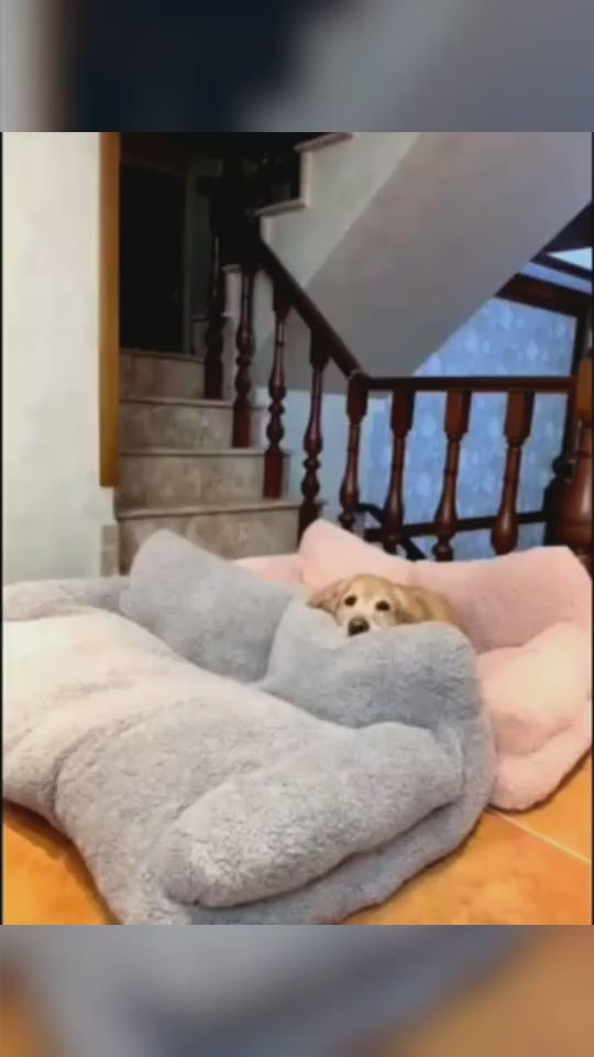 1.mp4
